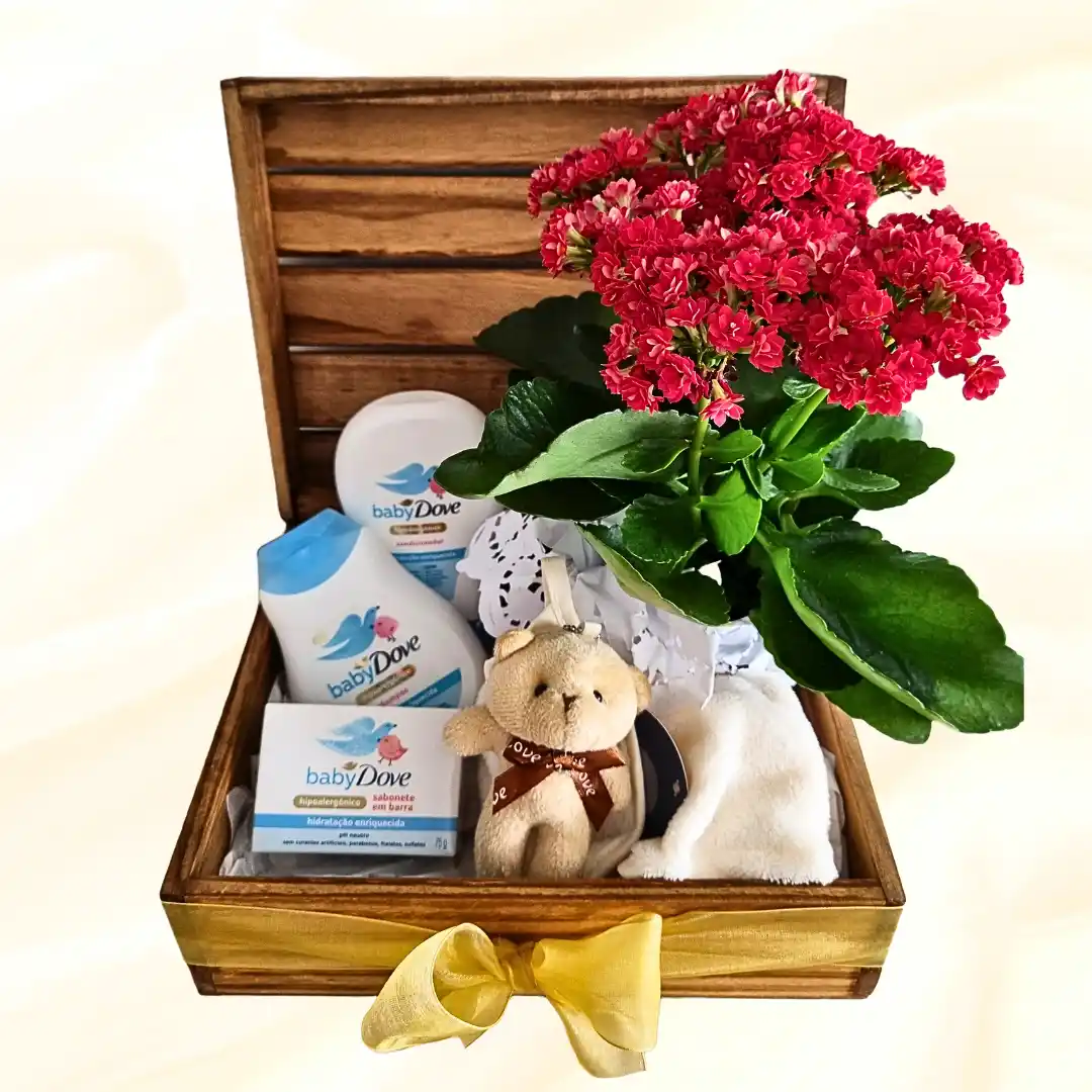 Presenteie com o Baú Mimos do Bebê: itens essenciais e fofura para celebrar a chegada do novo membro da família. Entrega em até 2 horas na Grande Porto Alegre!